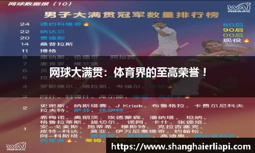 网球大满贯：体育界的至高荣誉 !